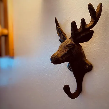 Charlotte 28 * Брей-Червінія